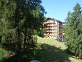 Pracondu 2 301 FUN charming apartment Nendaz